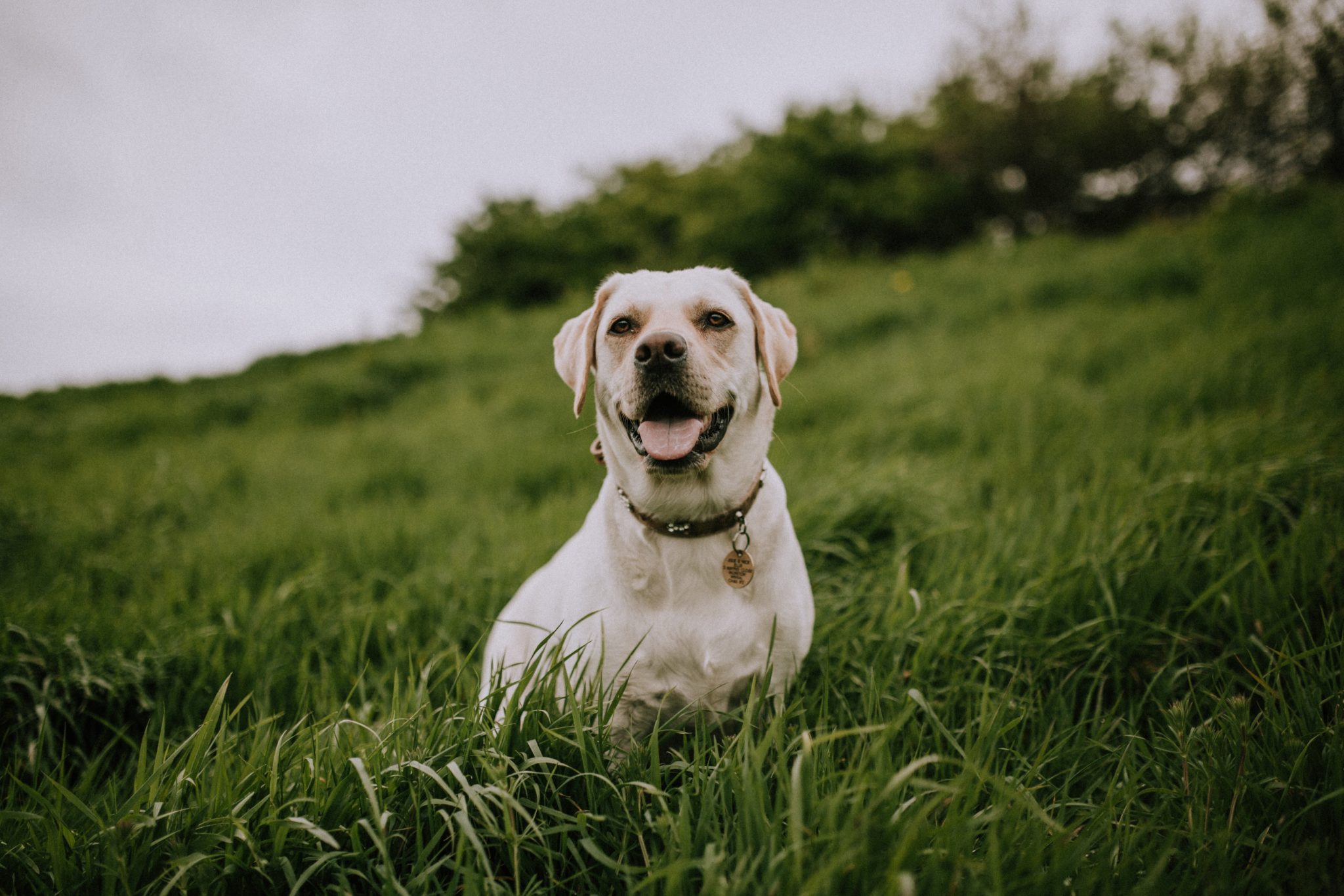 mitchell-orr-1Y4LupdrDZk-unsplash-2048x1365 mitchell-orr-1Y4LupdrDZk-unsplash-2048x1365